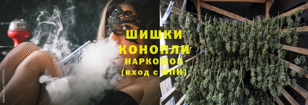 тгк Медвежьегорск