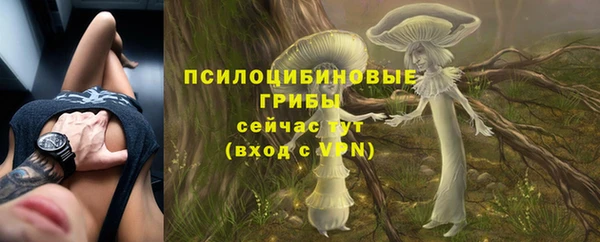 тгк Медвежьегорск