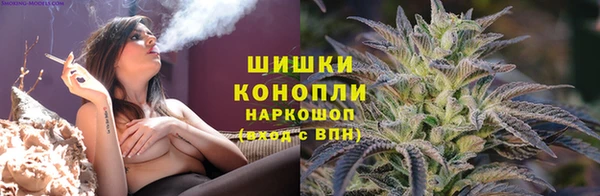 тгк Медвежьегорск