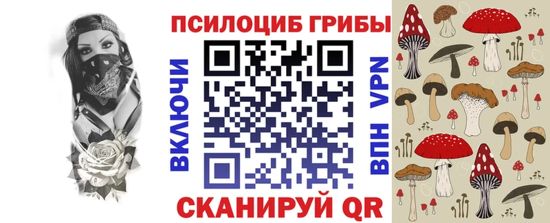 mega ТОР  Рязань  Псилоцибиновые грибы мицелий 